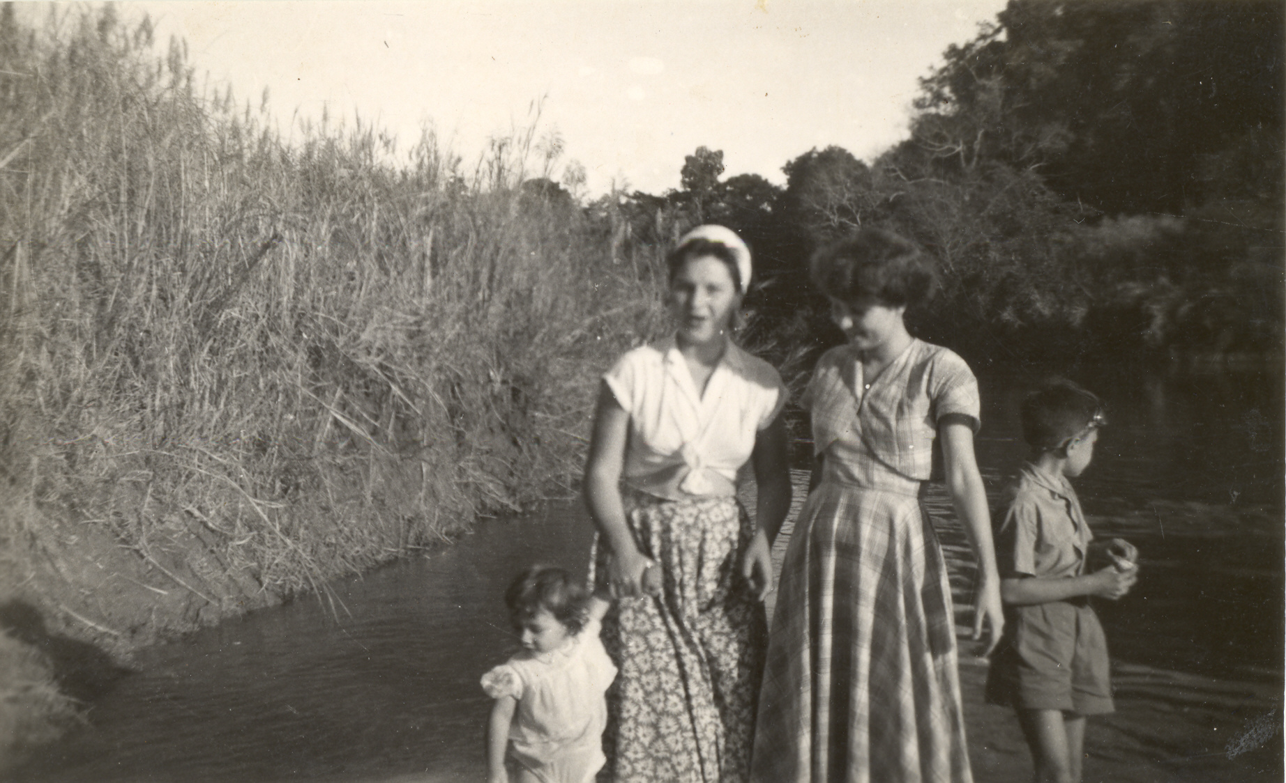 ML 0117 Liliane, Simone, JeanClaude et Philippe (1950)